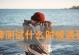 离婚原因大揭秘！（探究你们为什么要离婚的真正原因，让你们更好地保持婚姻幸福。）