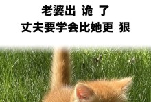 老婆出轨了该怎么办？（如何面对婚姻中的不忠行为）