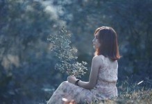 婚外情（建立正确的道德观念，守护家庭和爱情）
