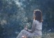 婚外情（建立正确的道德观念，守护家庭和爱情）