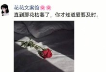 情侣分手后如何挽回关系（从沟通、认错到互相信任，助你成功挽救爱情）