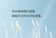 恋爱栽跟头了，不要灰心（勇敢面对挫折，迎接新的开始）