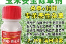如何克服害怕受伤封闭自己的心理障碍？（用勇气和行动打破封闭，拥抱自己的内心世界）