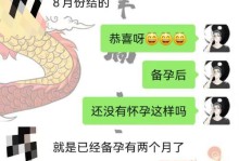 分手后复合成功的挽回前男友秘诀（以真情和坚持，让爱在复合中更加美好）