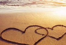 婚姻经营手册——如何避免婚姻疲惫（让婚姻成为生命中的甜蜜果实）