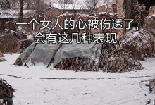 懂得吵架的女人才是好女人（掌握沟通技巧成为理性女性，以此赢得幸福）