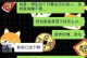 第一次见男友家长的女生，该如何做？（聪明的你一定要掌握的技巧和注意事项！）