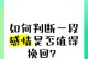 开启新恋情的秘诀（从内心开始，迎接新感情的到来）