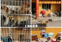 男友要离开，该不该分手？（探讨长距离恋爱的优缺点及应对方法）