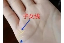 掌纹解密（探寻女性手掌的神秘密码，解读掌纹中的秘密）