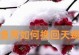 挽回天蝎男的绝佳技巧（从了解个性到修复关系，用这一招成为他的唯一）
